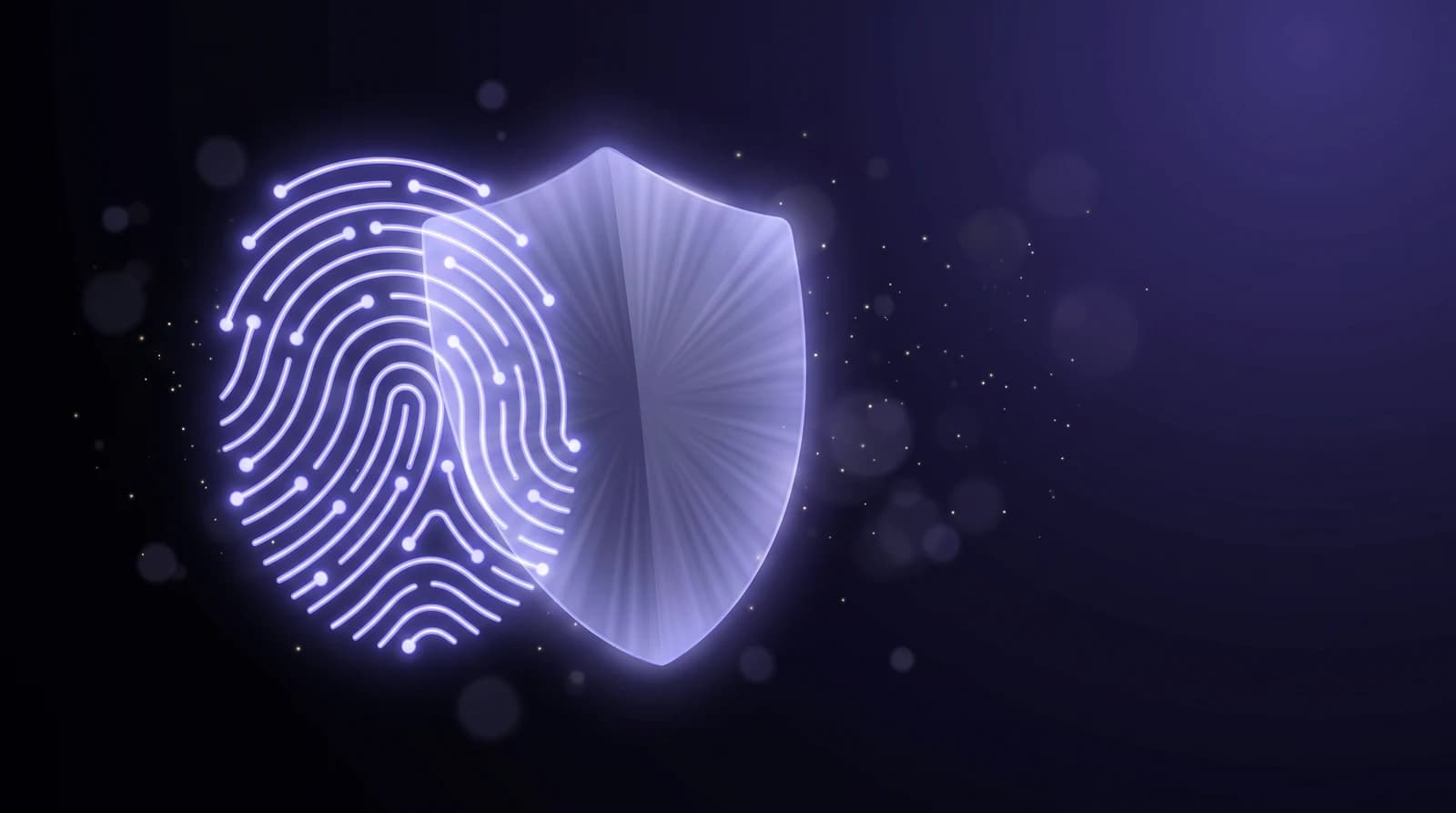 Dolphin Anty Plus Aged Profiles: The Setup Meta Trusts